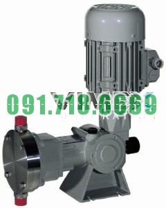 bom-dinh-luong-doseuro-series-d-inox-1