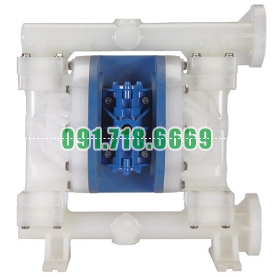 Bán Bơm màng đôi FT10V-PP-RRVR-F1 giá rẻ chính hãng