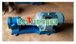 Bán Bơm bánh răng ăn khớp ngoài 2CY3/25 giá rẻ chính hãng